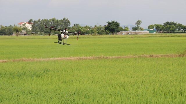 Nam Định: Dùng máy bay không người lái giúp dân thôn bị phong tỏa phun thuốc trừ sâu