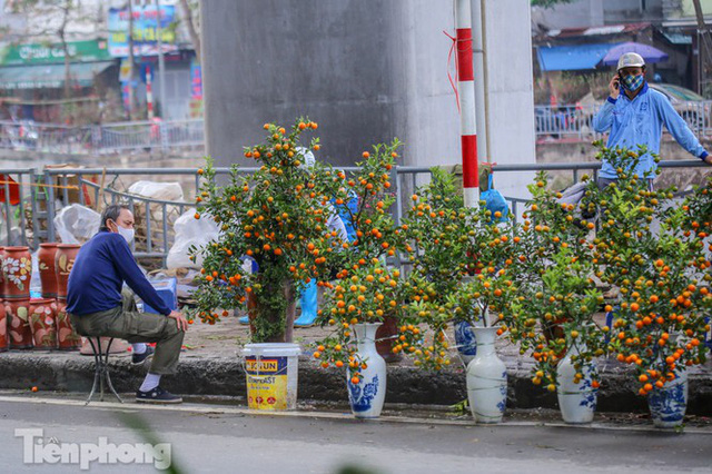 Nắng lên, tiểu thương ôm đào quất ngóng người mua - Ảnh 1. Nắng lên, tiểu thương ôm đào quất ngóng người mua - Ảnh 1.