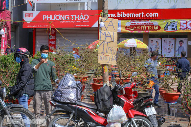 Nắng lên, tiểu thương ôm đào quất ngóng người mua - Ảnh 10. Nắng lên, tiểu thương ôm đào quất ngóng người mua - Ảnh 10.