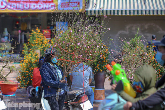 Nắng lên, tiểu thương ôm đào quất ngóng người mua - Ảnh 11. Nắng lên, tiểu thương ôm đào quất ngóng người mua - Ảnh 11.