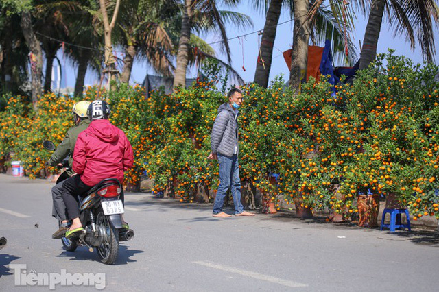 Nắng lên, tiểu thương ôm đào quất ngóng người mua - Ảnh 12. Nắng lên, tiểu thương ôm đào quất ngóng người mua - Ảnh 12.