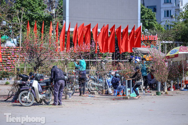 Nắng lên, tiểu thương ôm đào quất ngóng người mua - Ảnh 14. Nắng lên, tiểu thương ôm đào quất ngóng người mua - Ảnh 14.