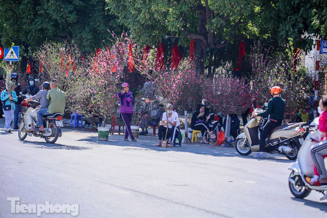 Nắng lên, tiểu thương ôm đào quất ngóng người mua - Ảnh 16. Nắng lên, tiểu thương ôm đào quất ngóng người mua - Ảnh 16.