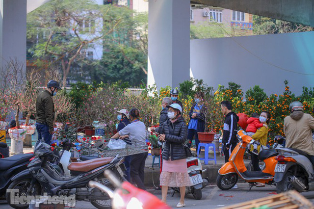 Nắng lên, tiểu thương ôm đào quất ngóng người mua - Ảnh 3. Nắng lên, tiểu thương ôm đào quất ngóng người mua - Ảnh 3.