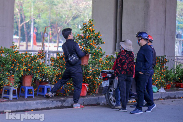 Nắng lên, tiểu thương ôm đào quất ngóng người mua - Ảnh 5. Nắng lên, tiểu thương ôm đào quất ngóng người mua - Ảnh 5.