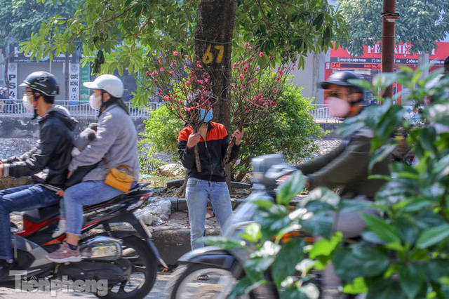 Nắng lên, tiểu thương ôm đào quất ngóng người mua - Ảnh 7. Nắng lên, tiểu thương ôm đào quất ngóng người mua - Ảnh 7.