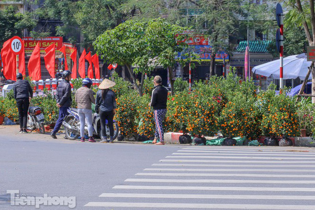 Nắng lên, tiểu thương ôm đào quất ngóng người mua - Ảnh 8. Nắng lên, tiểu thương ôm đào quất ngóng người mua - Ảnh 8.