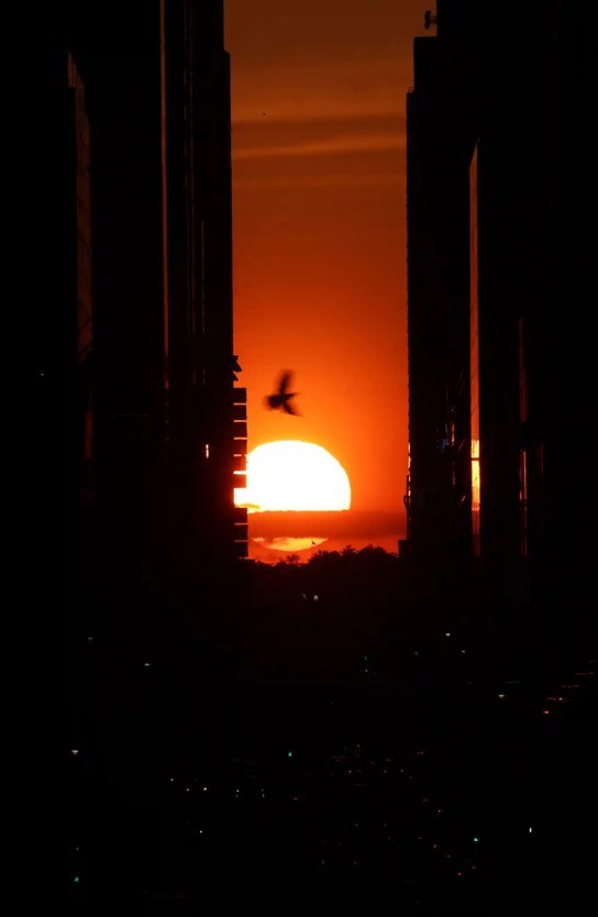 new-york-d243n-ch224o-canh-ho224ng-h244n-ruc-ro-manhattanhenge-dau-ti234n-cua-nam_7.jpg