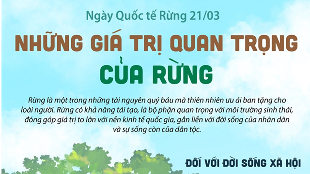Ngày Quốc tế Rừng 21-3: Những giá trị quan trọng của rừng