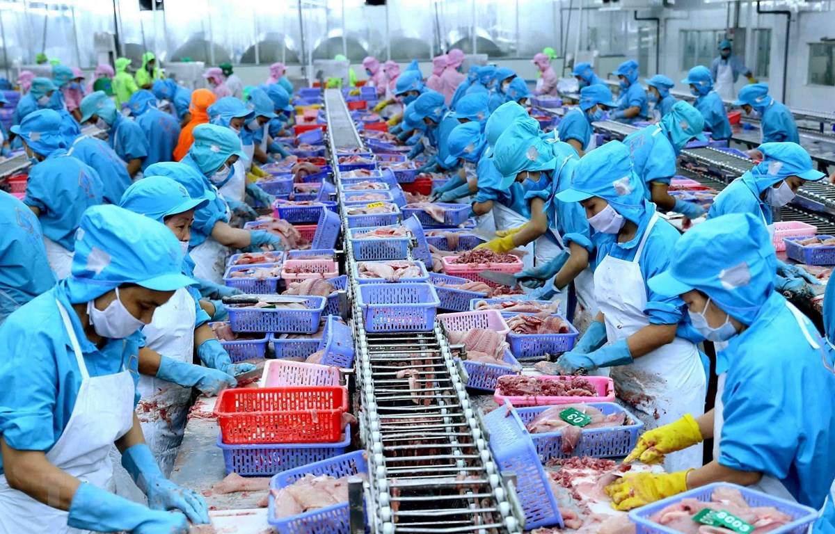 Ngăn dịch bệnh, vượt rào phi thuế quan để tăng tốc xuất khẩu thủy sản