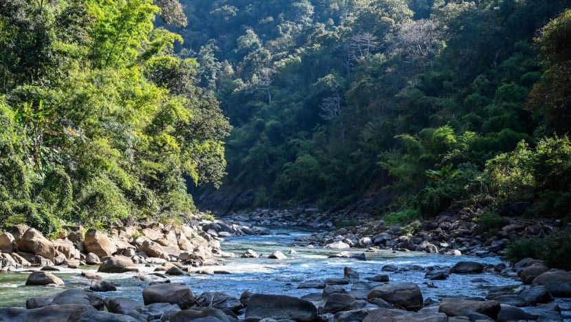 ngan-mot-nh225nh-s244ng-salween-de-l224m-diu-39con-kh225t39-cua-n244ng-d226n-th225i-lan_3.jpg ngan-mot-nh225nh-s244ng-salween-de-l224m-diu-39con-kh225t39-cua-n244ng-d226n-th225i-lan_3.jpg