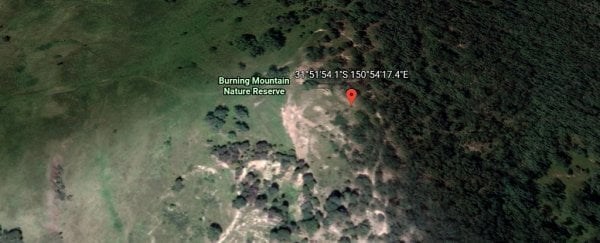 ngon-lua-ky-b237-226m-i-ch225y-suot-6000-nam-tai-australia_3.jpeg ngon-lua-ky-b237-226m-i-ch225y-suot-6000-nam-tai-australia_3.jpeg