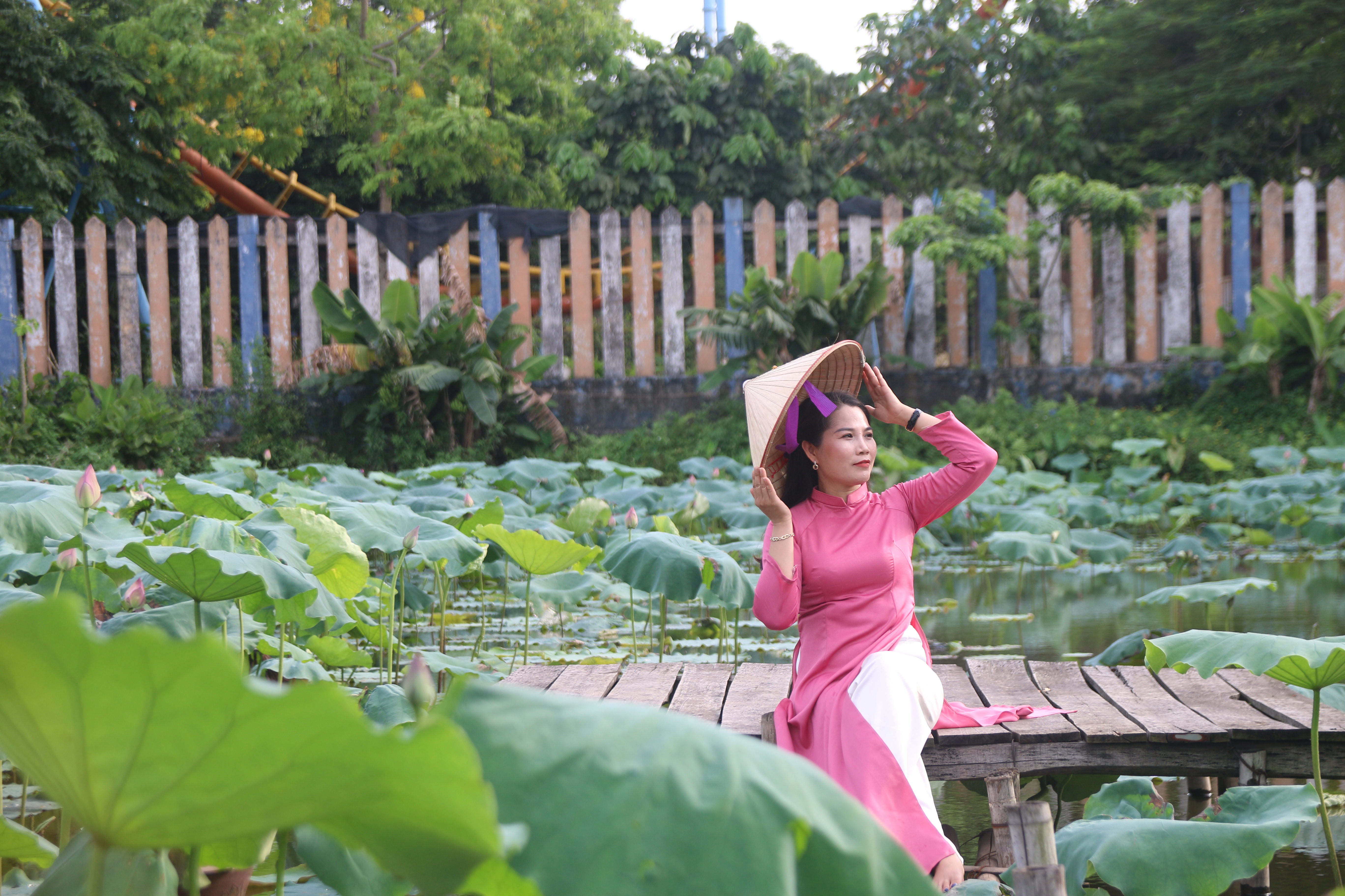 nguoi-d226n-tu-c225c-tinh-l226n-can-do-ve-h224-noi-chup-anh-m249a-sen_1.jpg
