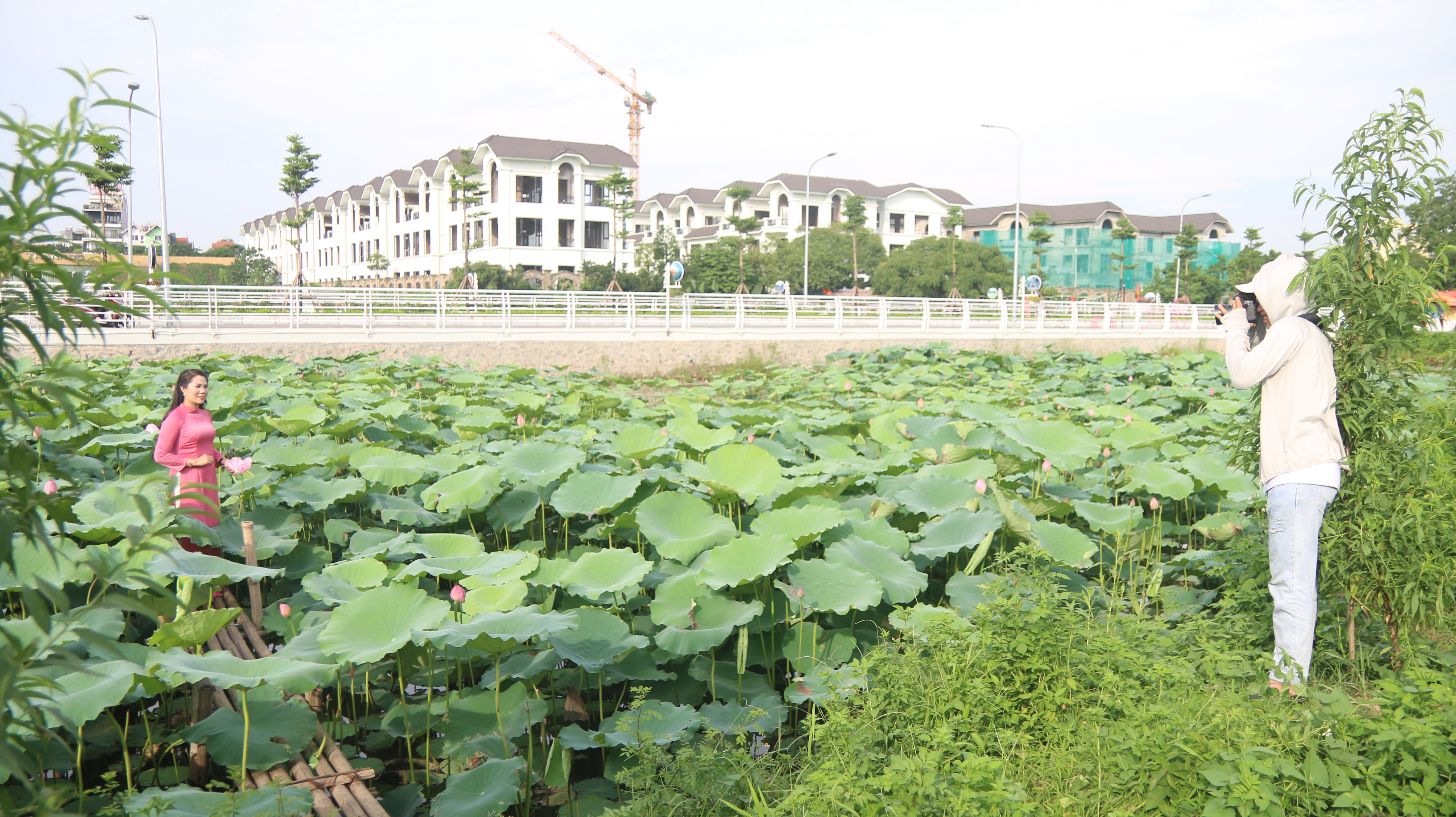 nguoi-d226n-tu-c225c-tinh-l226n-can-do-ve-h224-noi-chup-anh-m249a-sen_10.jpg
