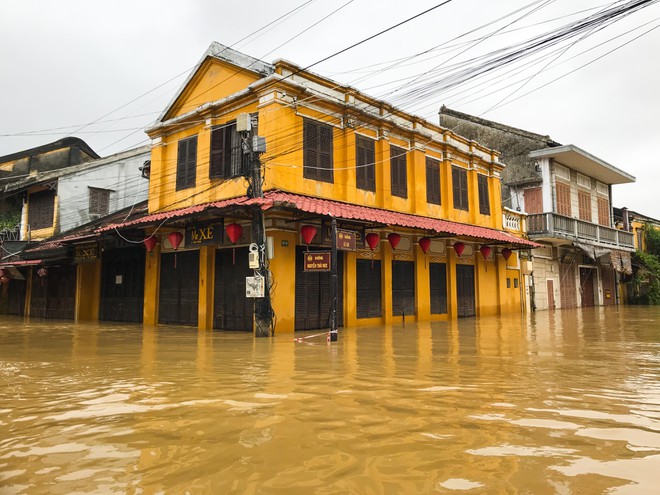 Người Hội An chèo bằng ghe thuyền chở du khách đi dạo giữa nước lũ - ảnh 2