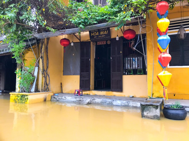 Người Hội An chèo bằng ghe thuyền chở du khách đi dạo giữa nước lũ - ảnh 3