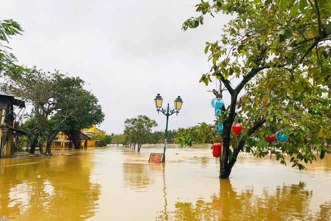 Người Hội An chèo bằng ghe thuyền chở du khách đi dạo giữa nước lũ - ảnh 4