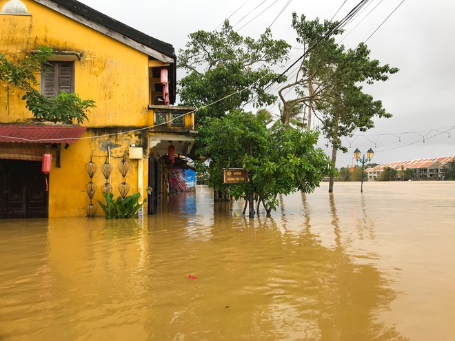 Người Hội An chèo bằng ghe thuyền chở du khách đi dạo giữa nước lũ - ảnh 5