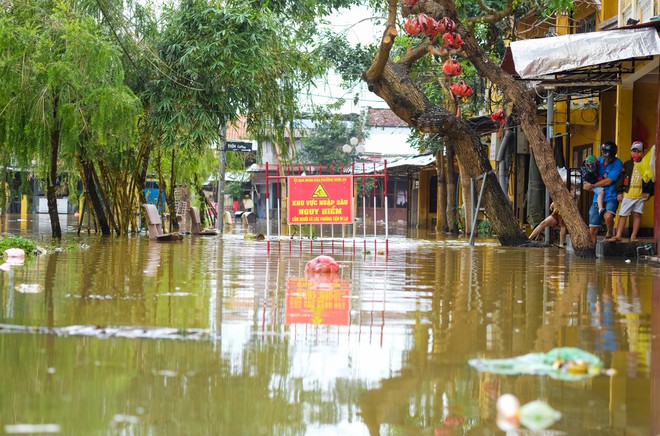 Người Hội An chèo bằng ghe thuyền chở du khách đi dạo giữa nước lũ - ảnh 7
