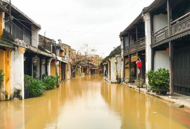 Người Hội An chèo bằng ghe thuyền chở du khách đi dạo giữa nước lũ - ảnh 9