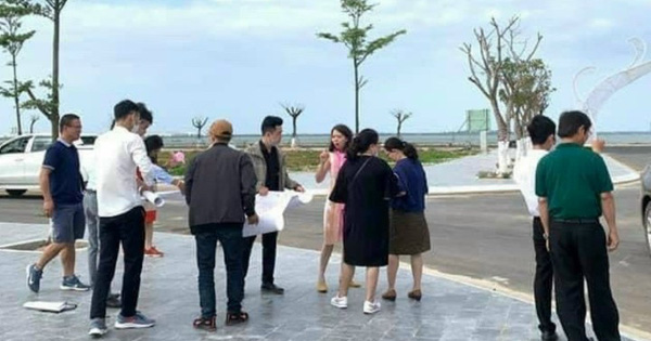 Nhà đầu tư F0 có gây nên cơn sốt đất?