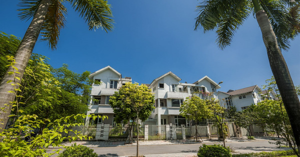 Nhà đầu tư 