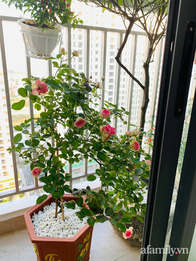 Nhà ở xã hội 69m² siêu ấm áp và tiện ích với chi phí cải tạo 200 triệu đồng của cặp vợ chồng 9X ở Từ Liêm, Hà Nội - Ảnh 10. Nhà ở xã hội 69m² siêu ấm áp và tiện ích với chi phí cải tạo 200 triệu đồng của cặp vợ chồng 9X ở Từ Liêm, Hà Nội - Ảnh 10.