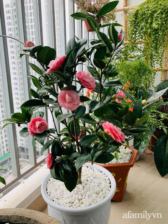Nhà ở xã hội 69m² siêu ấm áp và tiện ích với chi phí cải tạo 200 triệu đồng của cặp vợ chồng 9X ở Từ Liêm, Hà Nội - Ảnh 11. Nhà ở xã hội 69m² siêu ấm áp và tiện ích với chi phí cải tạo 200 triệu đồng của cặp vợ chồng 9X ở Từ Liêm, Hà Nội - Ảnh 11.