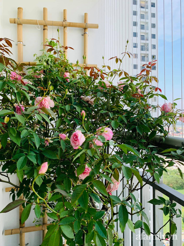 Nhà ở xã hội 69m² siêu ấm áp và tiện ích với chi phí cải tạo 200 triệu đồng của cặp vợ chồng 9X ở Từ Liêm, Hà Nội - Ảnh 12. Nhà ở xã hội 69m² siêu ấm áp và tiện ích với chi phí cải tạo 200 triệu đồng của cặp vợ chồng 9X ở Từ Liêm, Hà Nội - Ảnh 12.