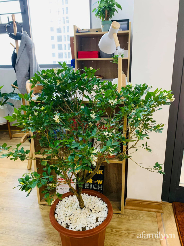 Nhà ở xã hội 69m² siêu ấm áp và tiện ích với chi phí cải tạo 200 triệu đồng của cặp vợ chồng 9X ở Từ Liêm, Hà Nội - Ảnh 13. Nhà ở xã hội 69m² siêu ấm áp và tiện ích với chi phí cải tạo 200 triệu đồng của cặp vợ chồng 9X ở Từ Liêm, Hà Nội - Ảnh 13.