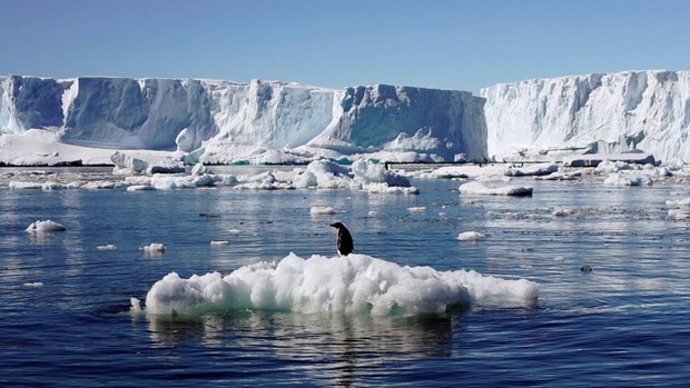 Nhiệt độ Nam Cực ghi nhận ở mức cao bất thường