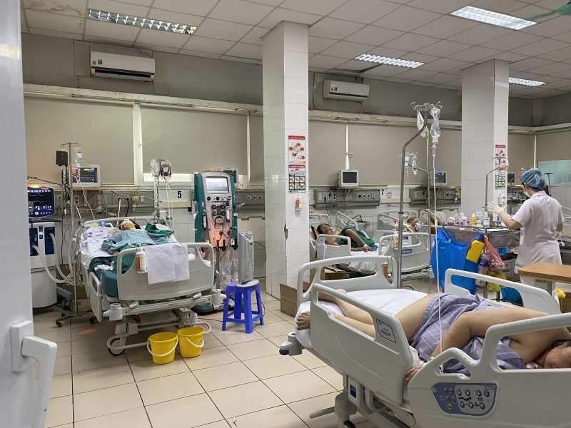 Nhiều ca sốt xuất huyết nặng, nguy kịch điều trị tại Bệnh viện Bệnh nhiệt đới Trung ương.