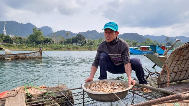 Nhiều người trở thành triệu phú khi nuôi cá giữa lòng di sản Phong Nha – Kẻ Bàng