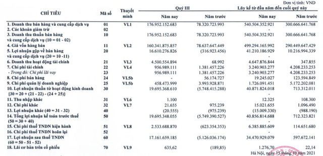 Nhờ dự trữ hàng tồn kho, HCD lãi lớn trong quý 3 - Ảnh 1.