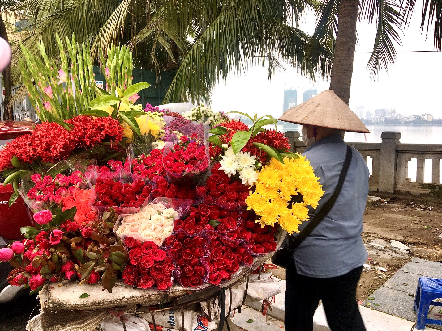 nhung-39b243ng-hong39-muu-sinh-c249ng-g225nh-hoa-tuoi-trong-ng224y-20-10_2.jpg