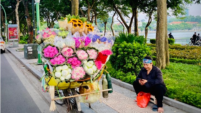 Những gánh hoa rong 