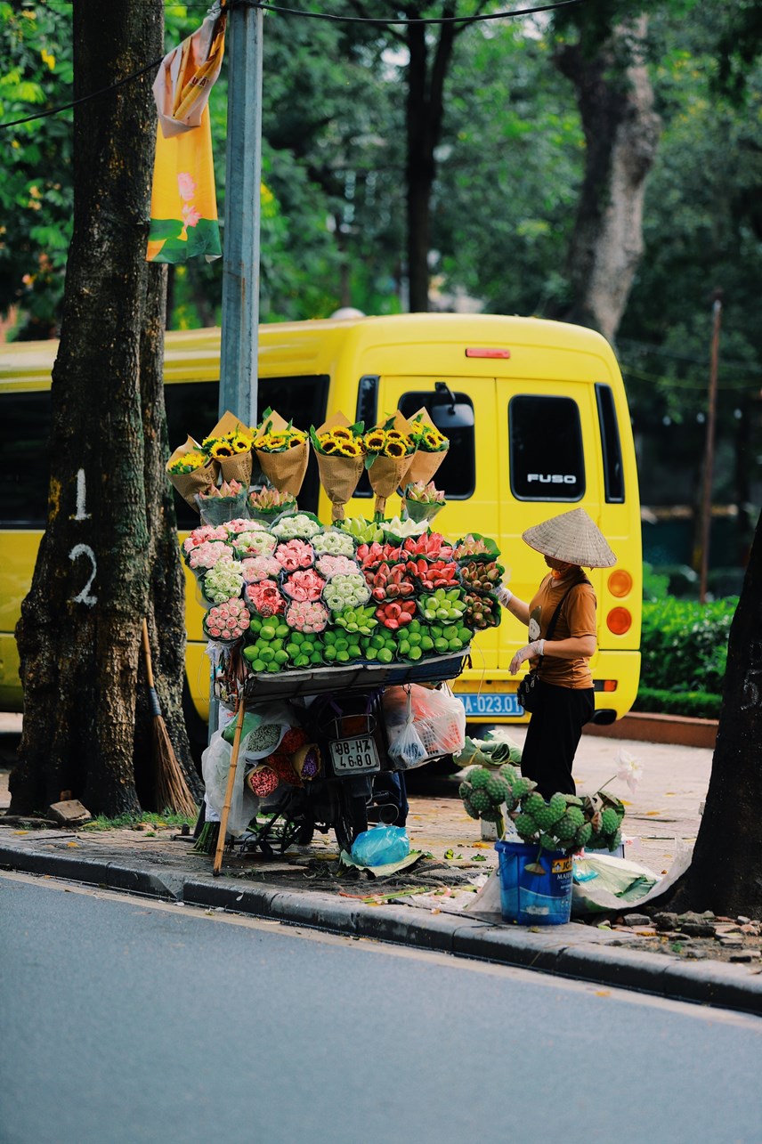 nhung-g225nh-hoa-rong_4.jpg