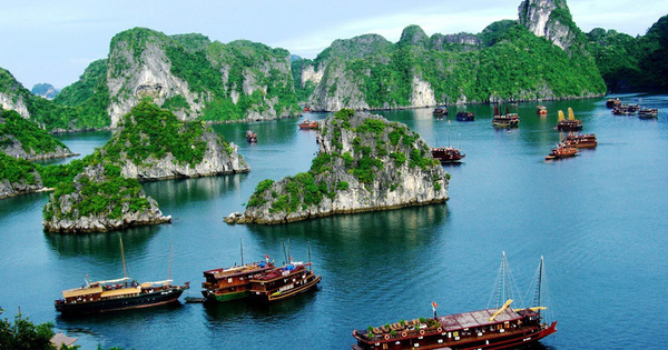 Những mảng xanh đa tầng giữa Vịnh di sản