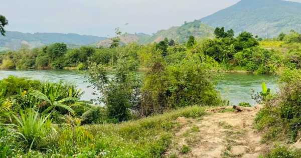 Nở rộ làn sóng kêu gọi chung vốn đầu tư farmstay trên mạng, cẩn trọng “tiền mất tật mang”