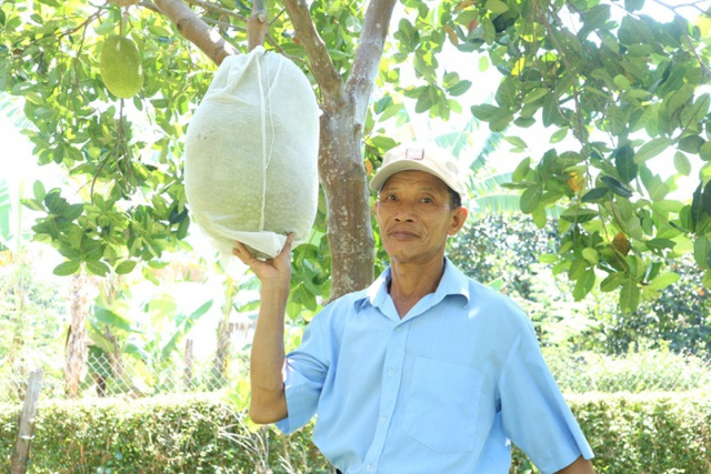  Nông dân thoát nghèo nhờ vườn cây chuyên canh - Ảnh 3.