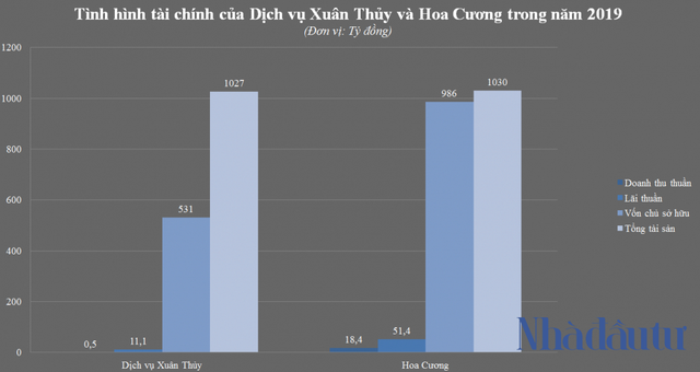 Nữ cổ đông ‘kín tiếng’ tại chuỗi siêu thị điện máy Pico - Ảnh 3.