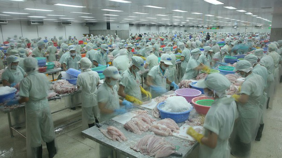 Ô tô Trường Hải bán gần hết cổ phiếu tại Hùng Vương