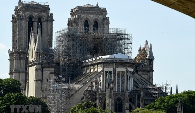 Phát hiện mộ cổ và quan tài bằng chì bên dưới Nhà thờ Đức Bà Paris 