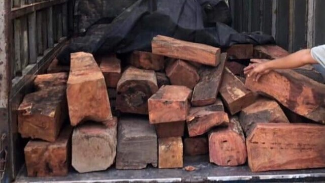 Phát hiện tài xế chở 1,5 tấn gỗ hương lậu