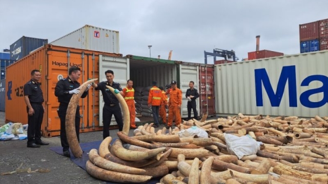 Phó thủ tướng Trần Lưu Quang biểu dương thành tích bắt giữ hơn 7,6 tấn ngà voi tại Hải Phòng