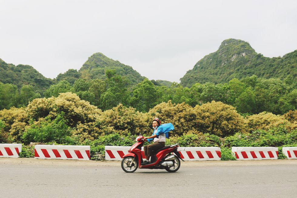 Phượt nhanh cung đường tuyệt đẹp đầy sắc hoa ở đảo ngọc Cát Bà - ảnh 18
