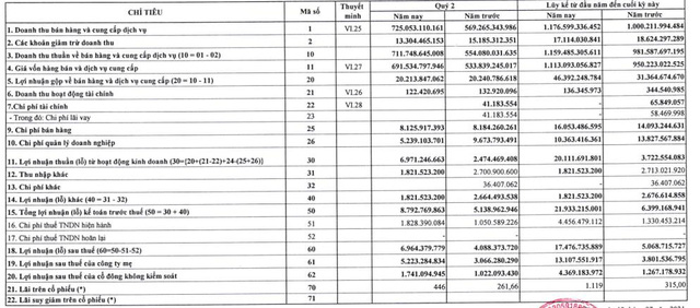 PSE: Nửa đầu năm báo lãi 17,5 tỷ đồng, cao gấp 2,2 lần chỉ tiêu kế hoạch cả năm - Ảnh 1.