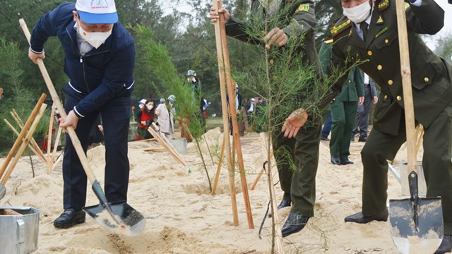 Quảng Bình phát động Tết trồng cây đầu xuân