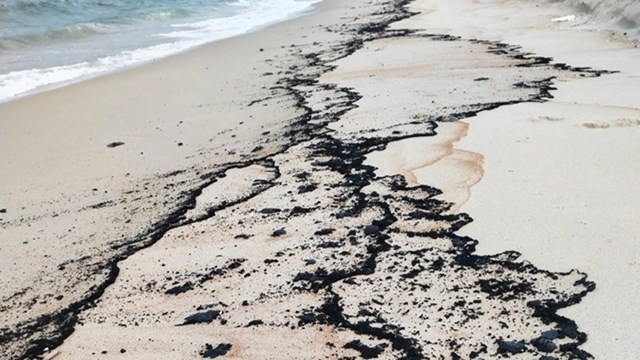 Quảng Bình: Xuất hiện vết dầu tràn dọc bờ biển Hải Ninh