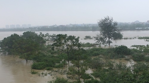 Quảng Nam đảm bảo an toàn tính mạng, tài sản của nhân dân trước và trong mùa mưa lũ